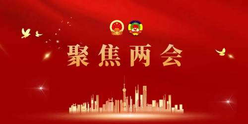 2026年两会政策深度解读-新材料从“隐形基石”到“产业引擎”